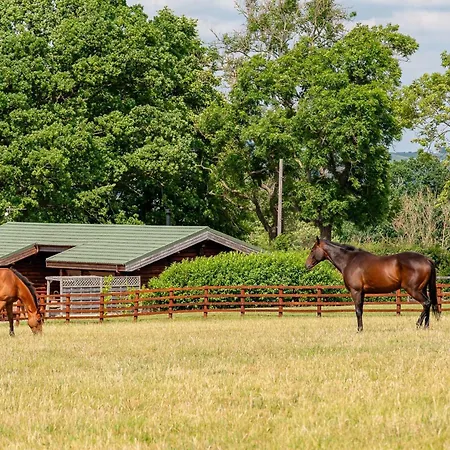 Hunters * Constable Burton